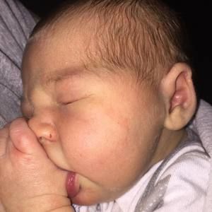 Meet your Posher, Holly